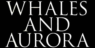 logo Whales And Aurora